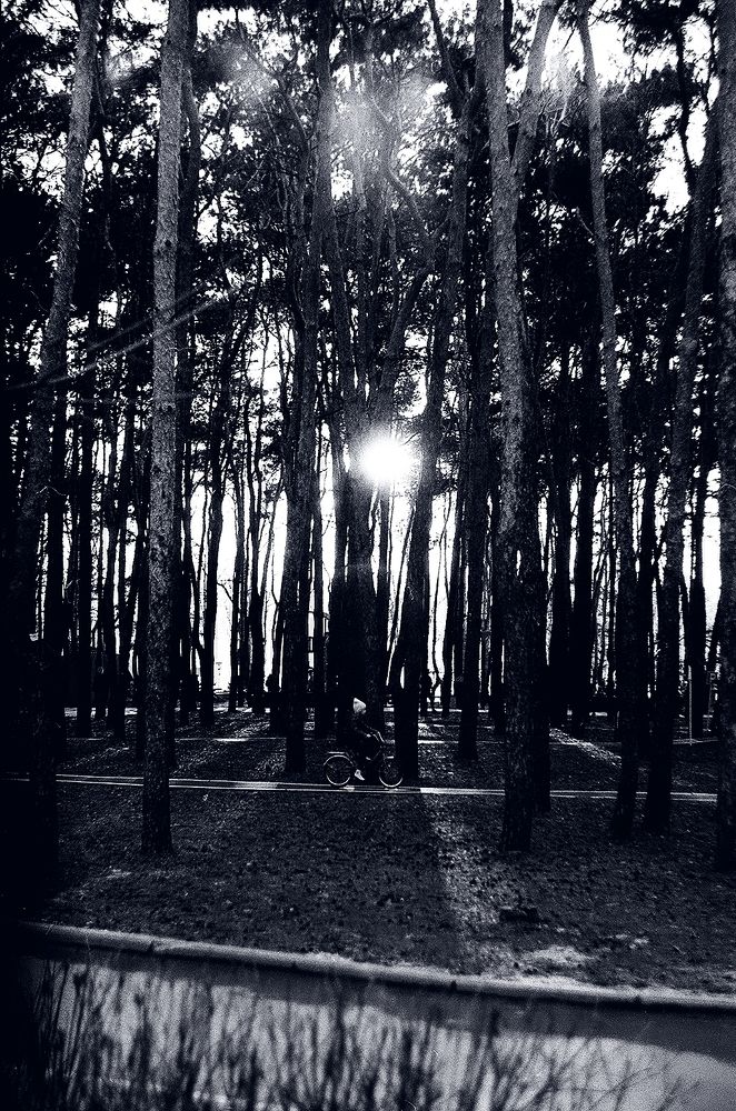 Photograph by Denis Rybov