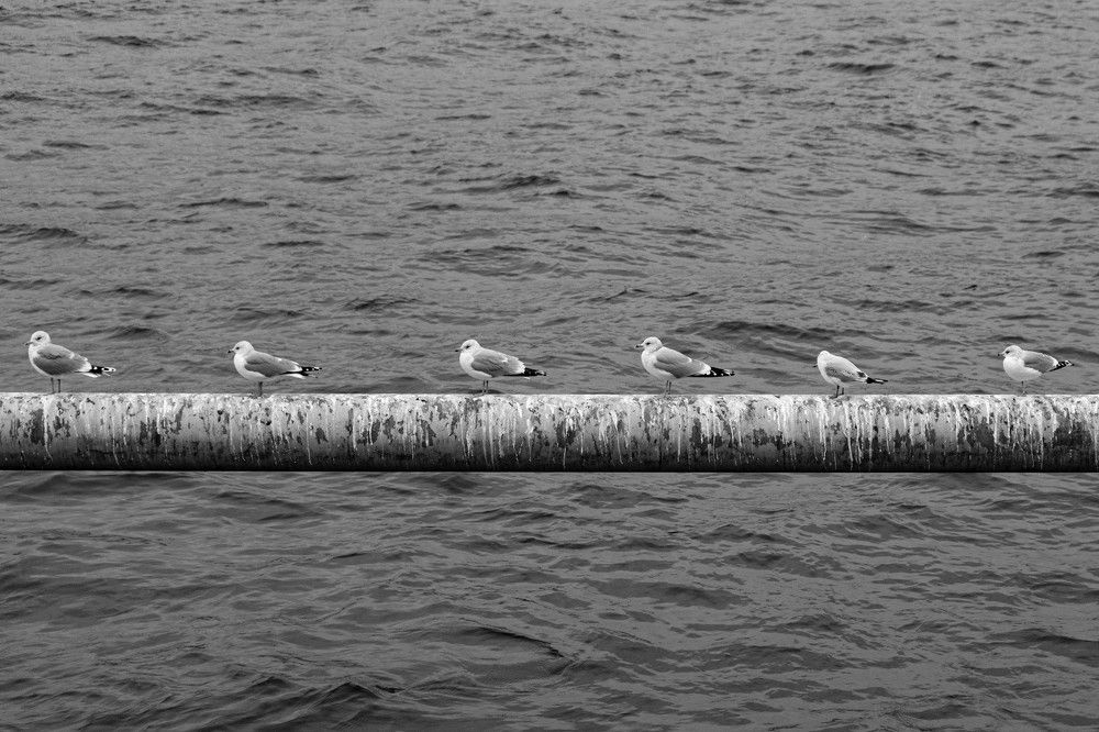 Photograph by Никита Роговский