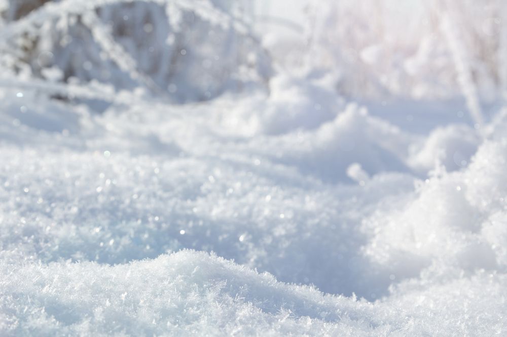 Photograph by Olga Min