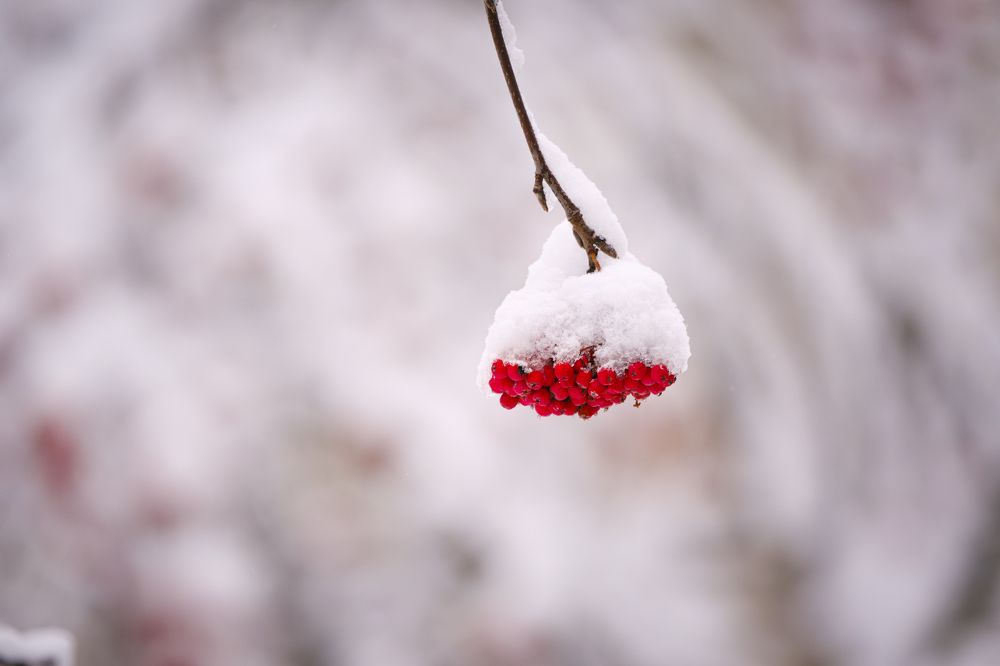 Photograph by Egor Gorin