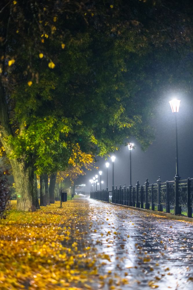 Photograph by Vladimir Petukhov