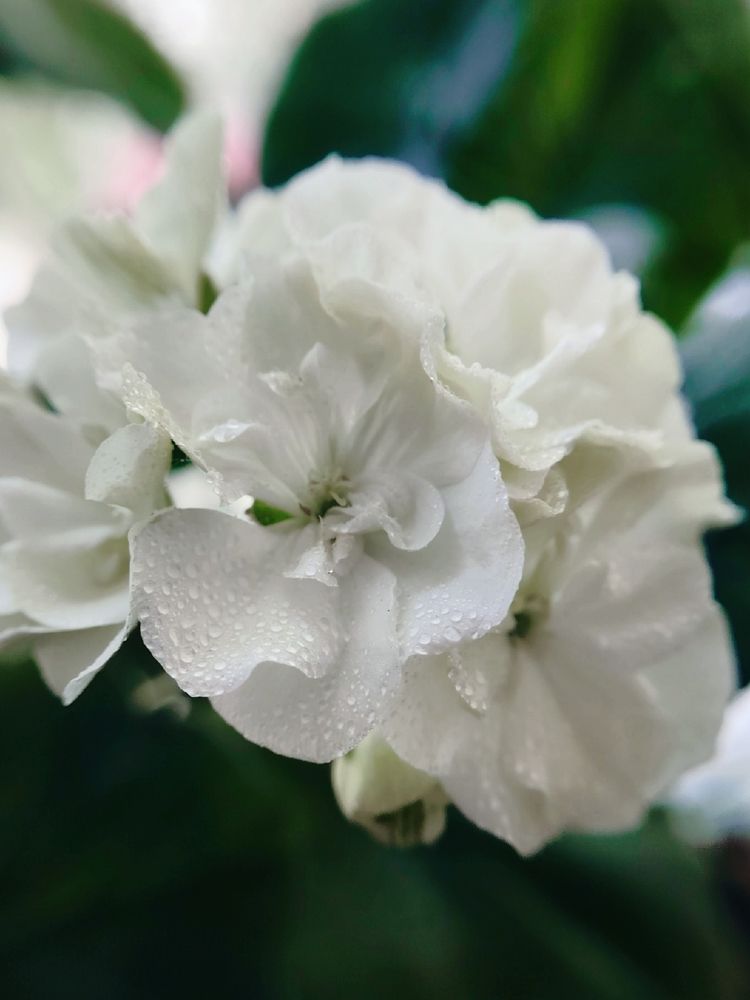 Фотография автора Анна Морозова