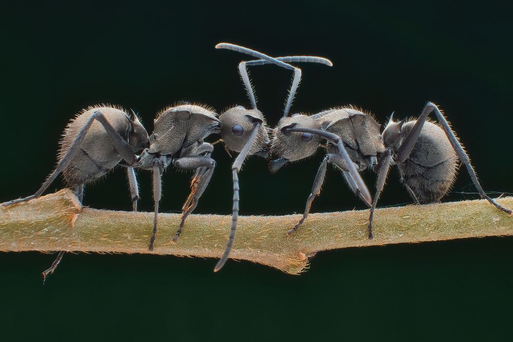 Photograph by Li Chen-You