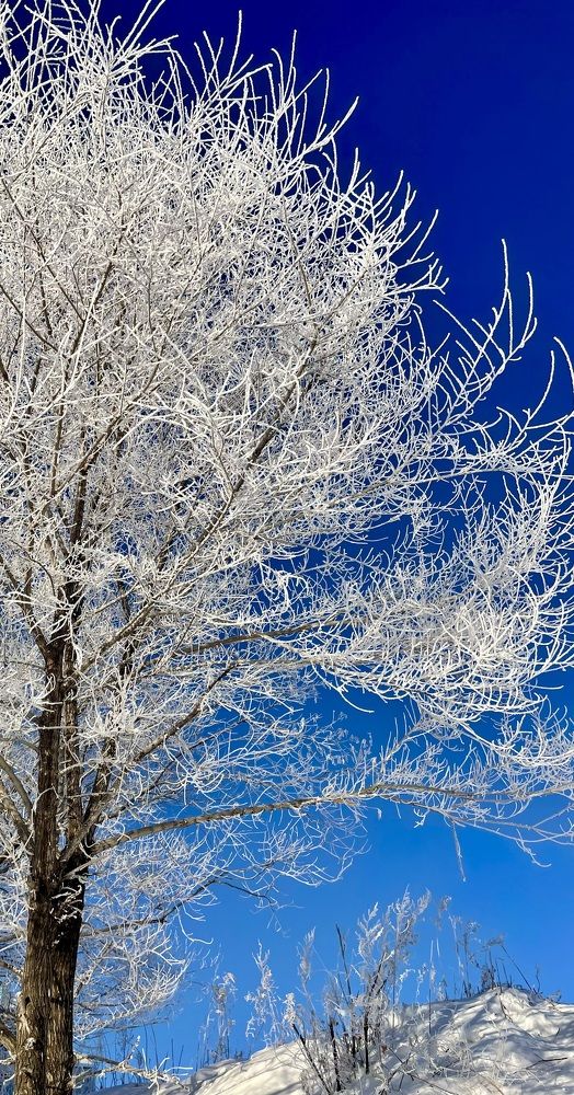 Photograph by Александр Мокров