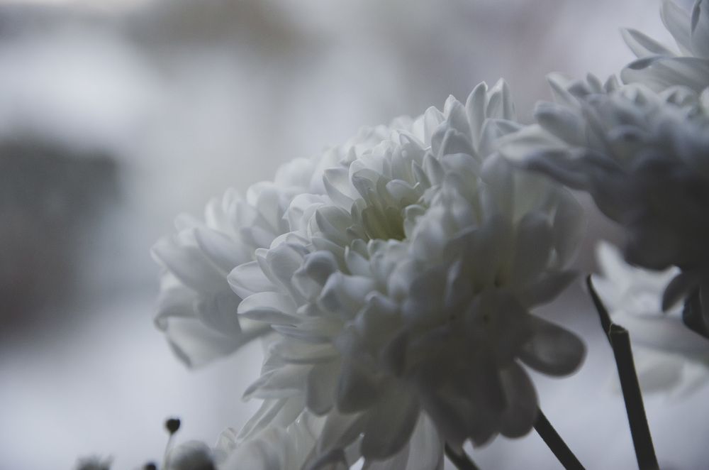 Photograph by Ульяна Бедрицкая