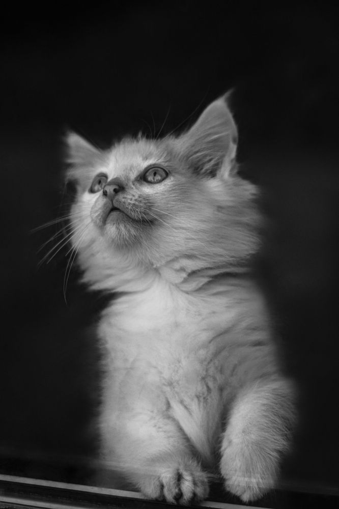 Photograph by Сергей Соколов