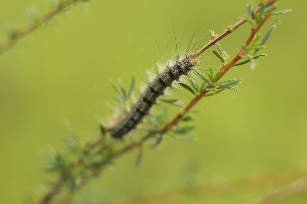 Photograph by Дмитрий Васючков