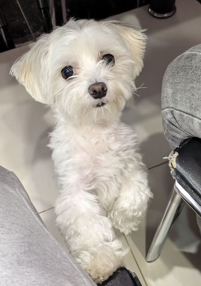 Photograph by Женя Евсеева