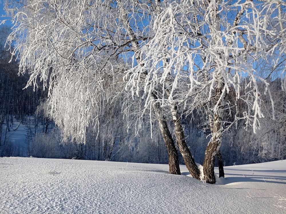 Фотография автора Кухта Мария