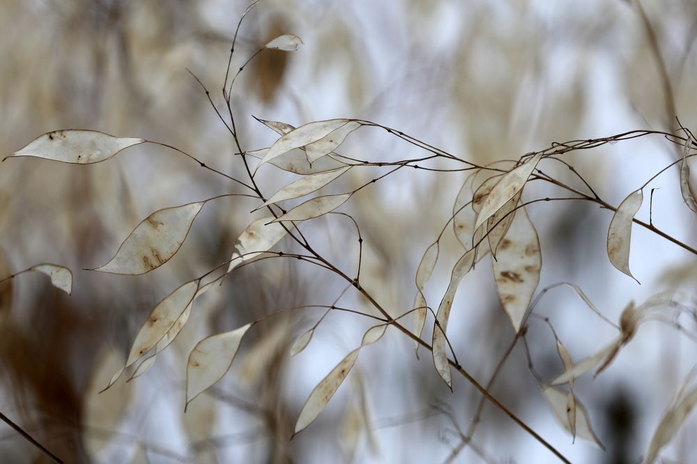 Photograph by Унку Юрий