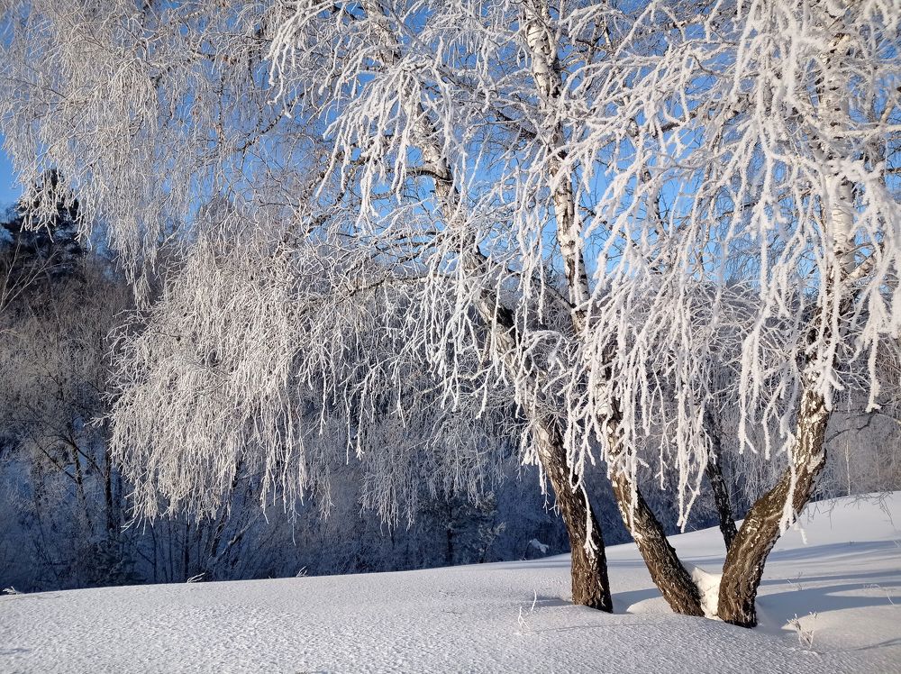 Фотография автора Кухта Мария