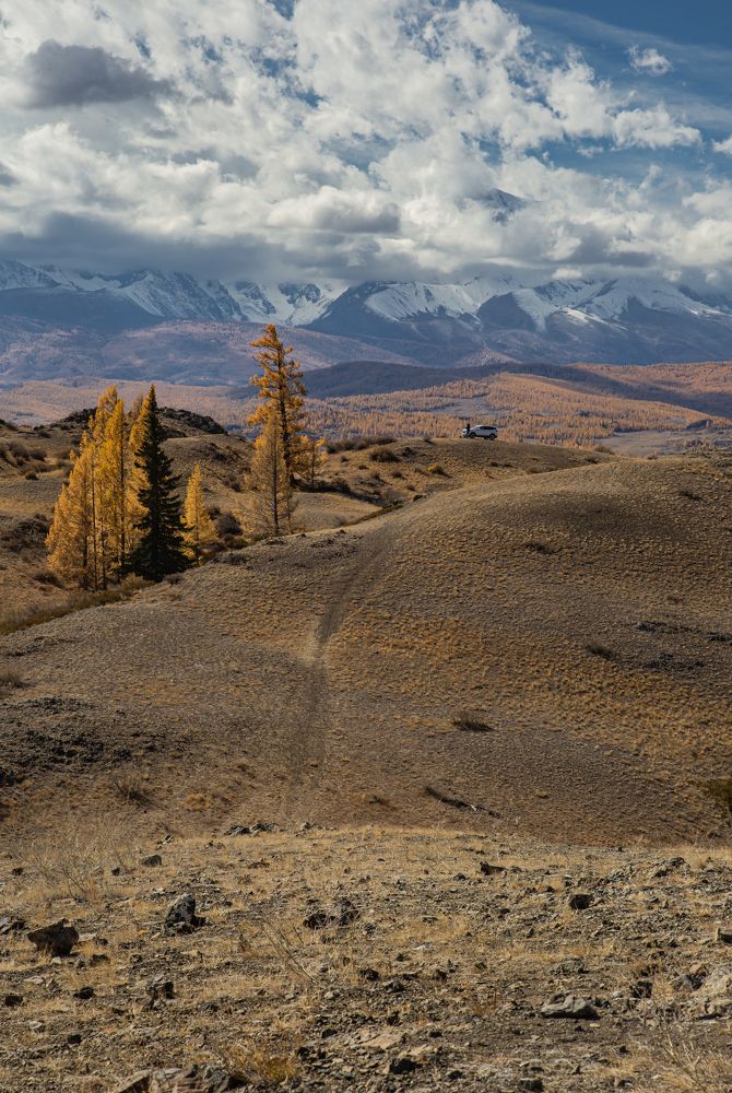 Photograph by Елена Павлова