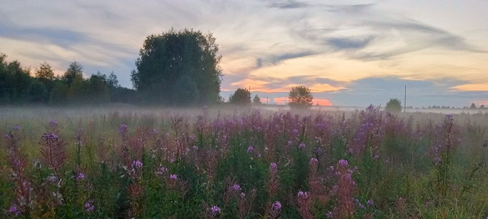 Photograph by Надежда Колеватова