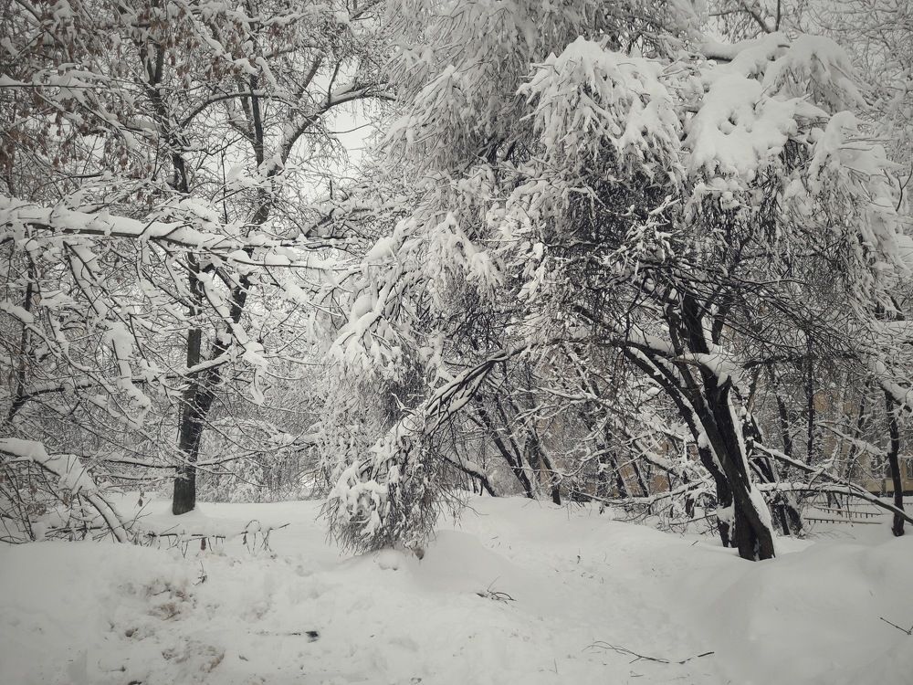 Photograph by Каталина Иванова