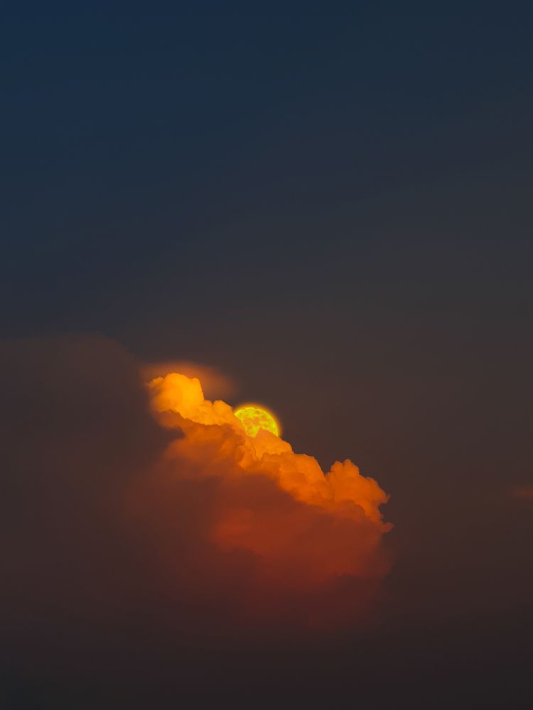 Photograph by Harshil Patel