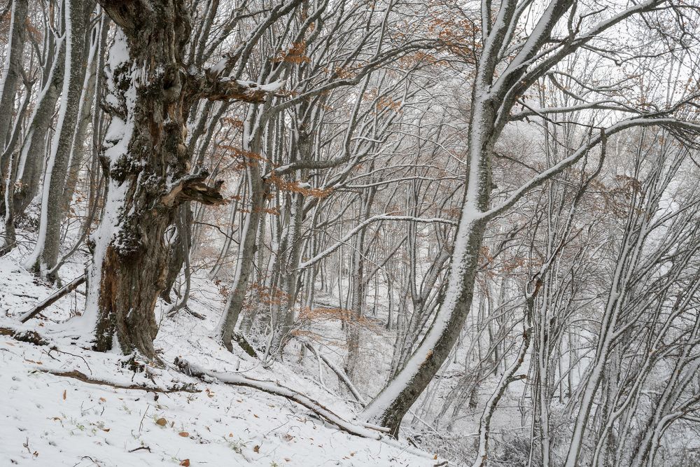 Photograph by Виктор Филипчук