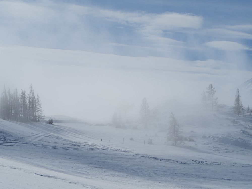 Photograph by Надежда Михайлина