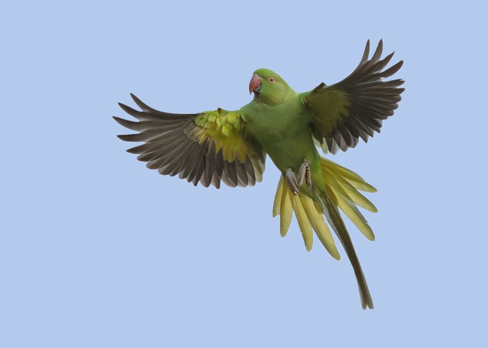 Photograph by wendy vanhoudt