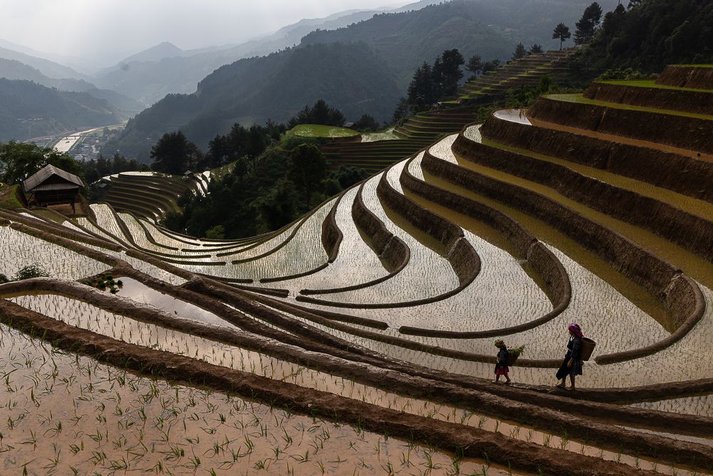 Photograph by Марина Маликова