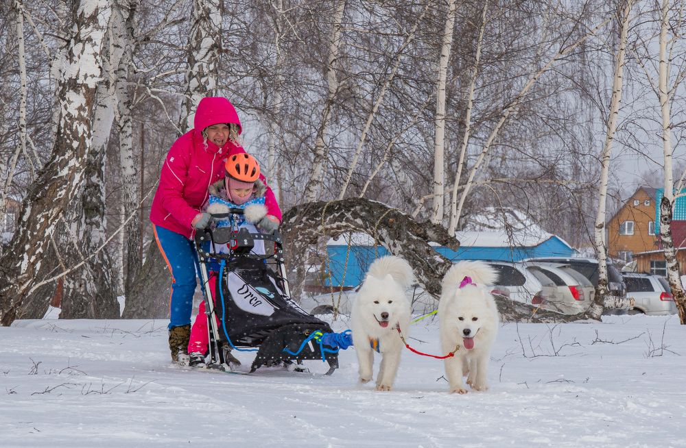 Photograph by Елена Павлова