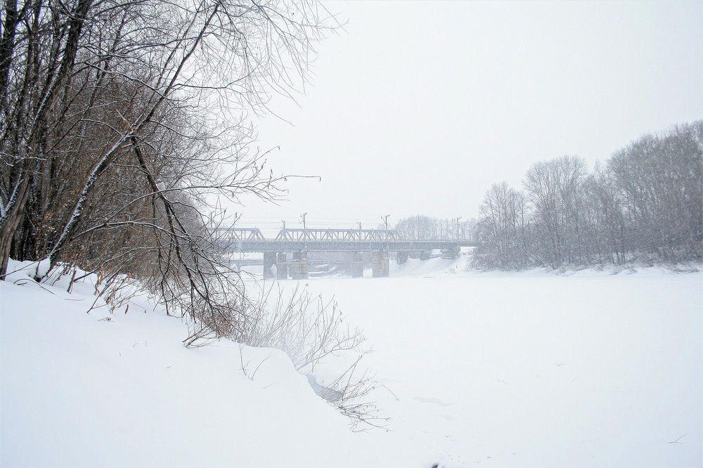Photograph by Дарья Вихорева