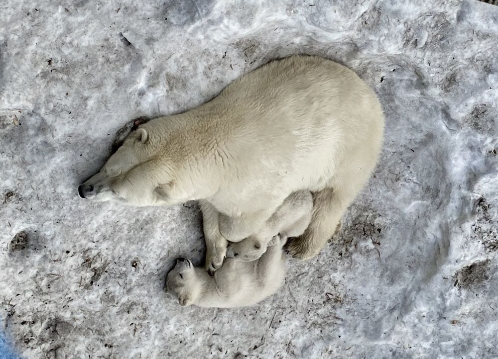 Photograph by Татьяна Шитлина