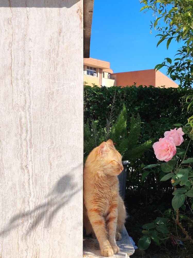 Photograph by Sajad Alizadeh