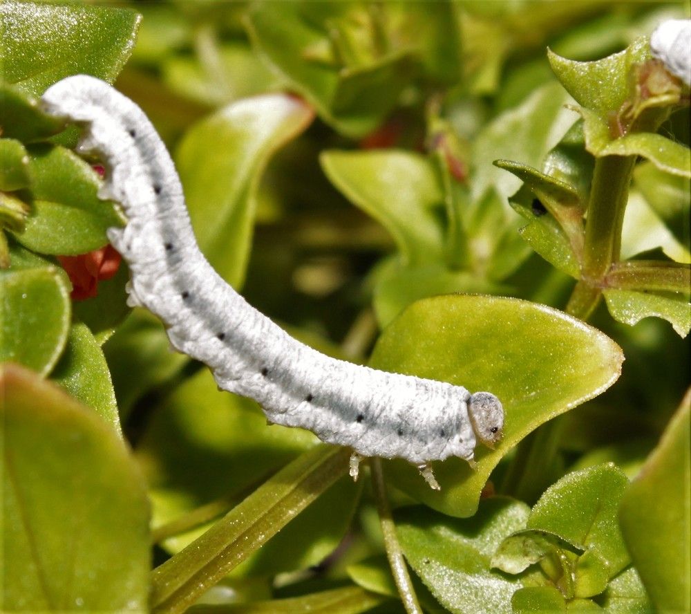 Photograph by Inese Firsova