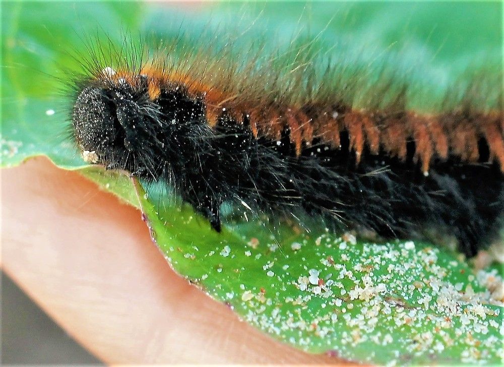 Photograph by Inese Firsova