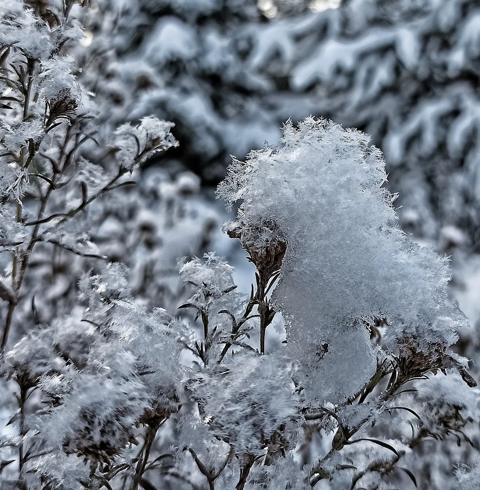 Photograph by Ляля Ильинская