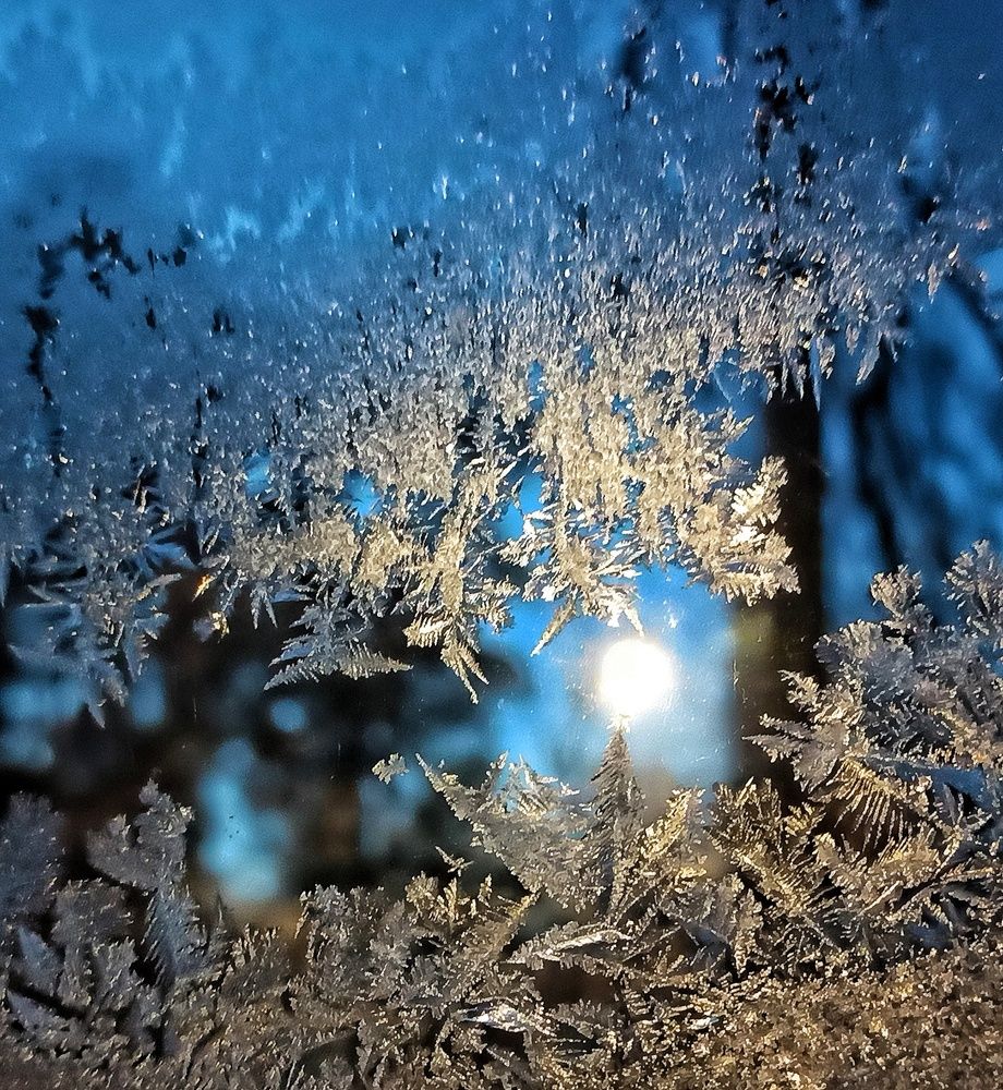 Photograph by Ляля Ильинская