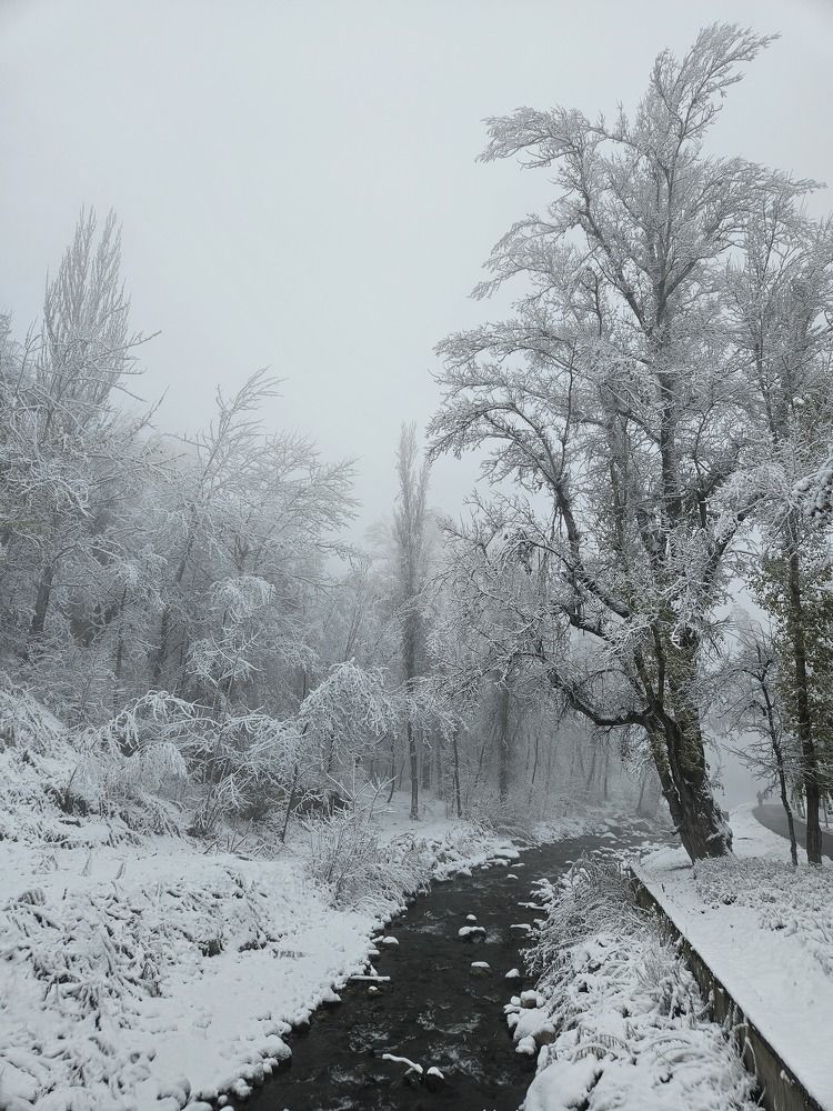 Photograph by Эльвира