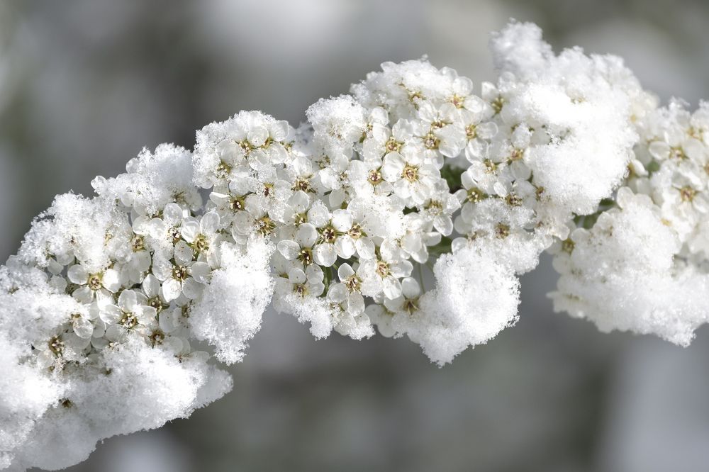 Photograph by Жанна Агафонова