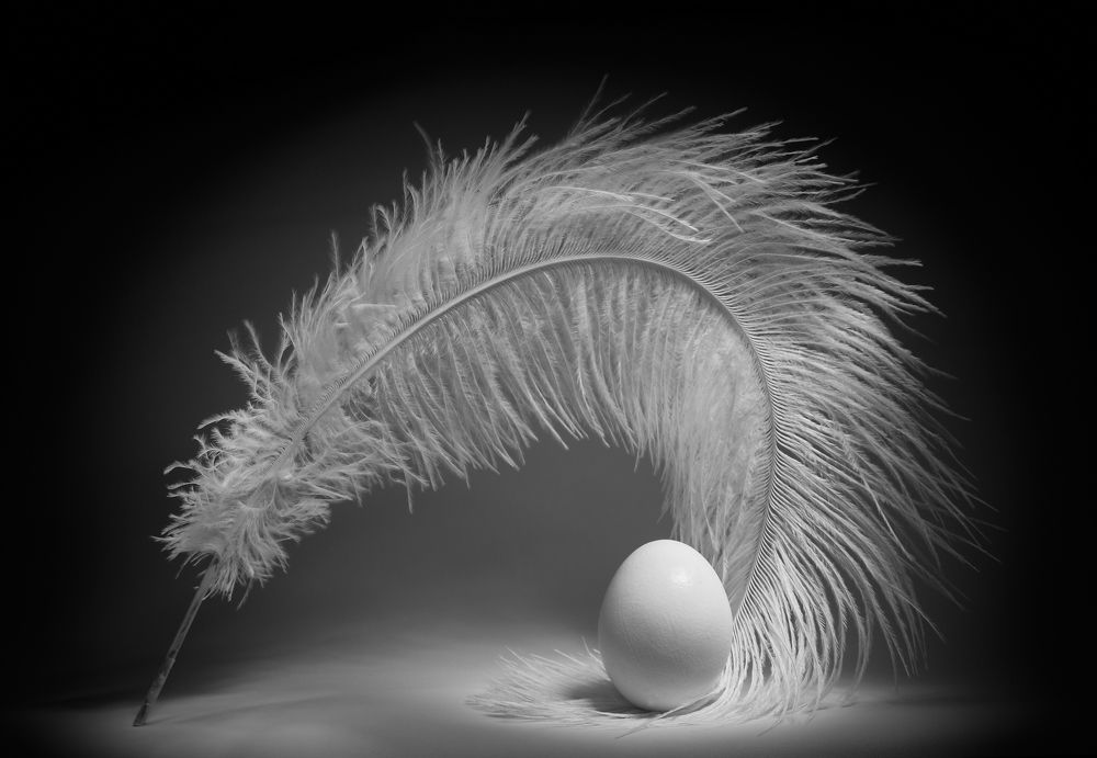 Photograph by Сергей Коваль