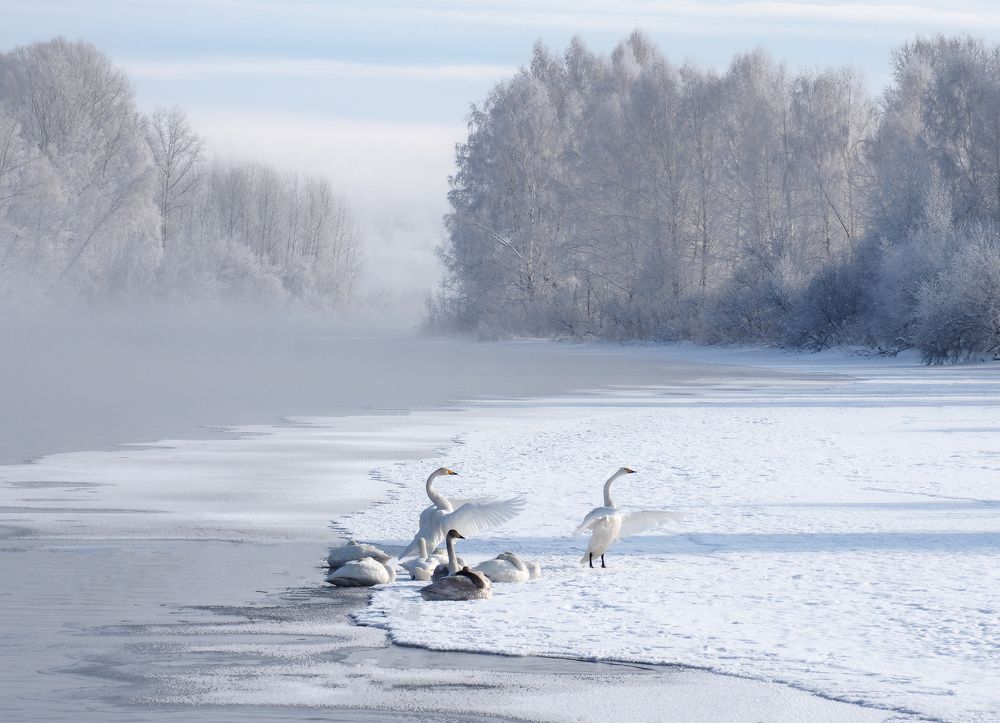 Photograph by Галина Хвостенко