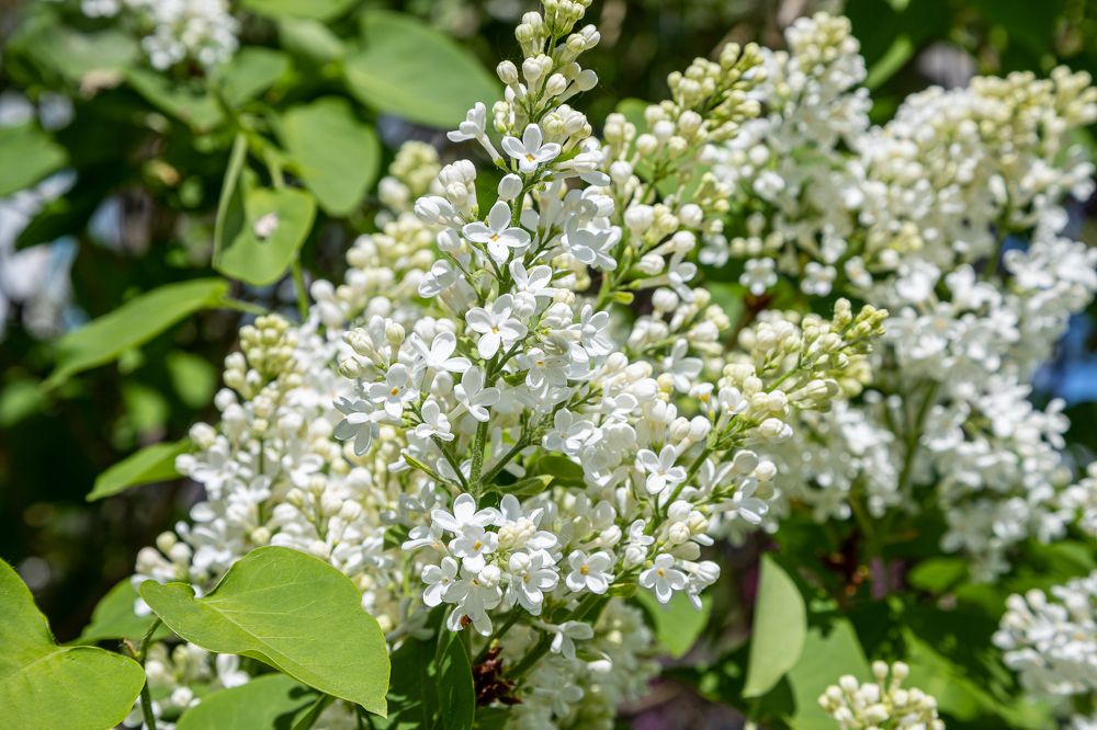 Фотография автора Евгения Снигирева