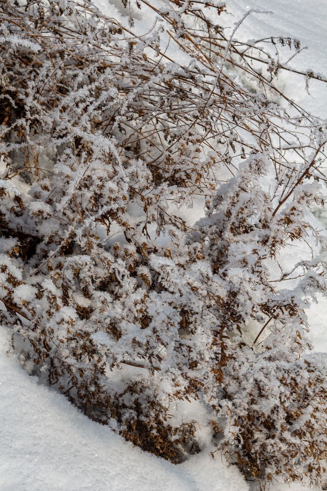 Фотография автора Евгения Снигирева