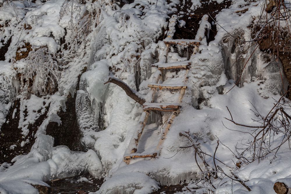 Фотография автора Евгения Снигирева