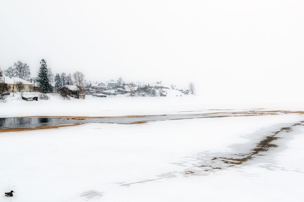 Photograph by Елена Амозова