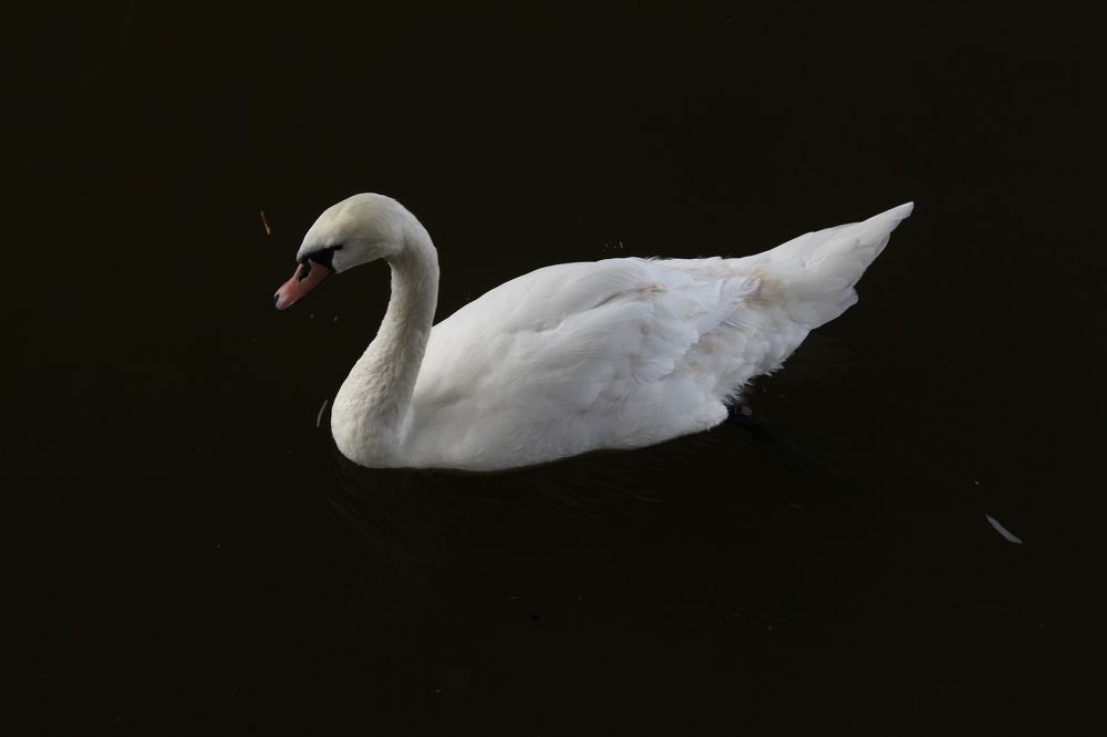 Photograph by Валентина