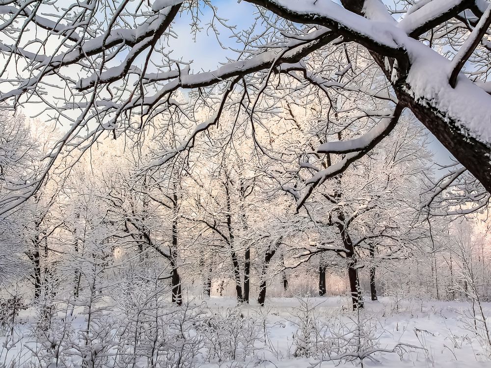 Photograph by Наталья Колеватова