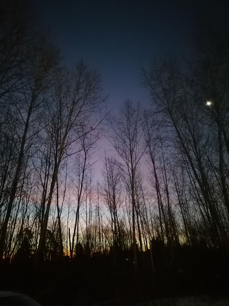 Photograph by Татьяна