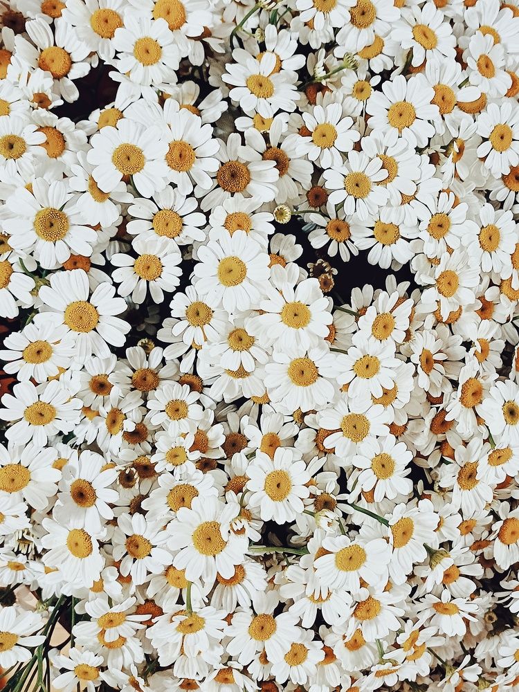 Photograph by Anastasiya Danilova