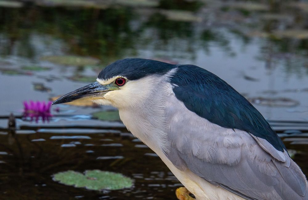 Photograph by Vladimir Bragilevsky