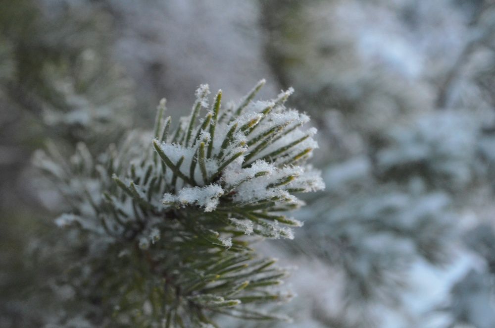 Photograph by Margareth Tikhonova