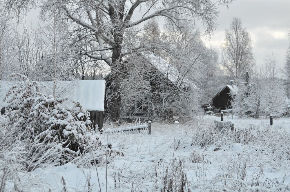 Photograph by Margareth Tikhonova