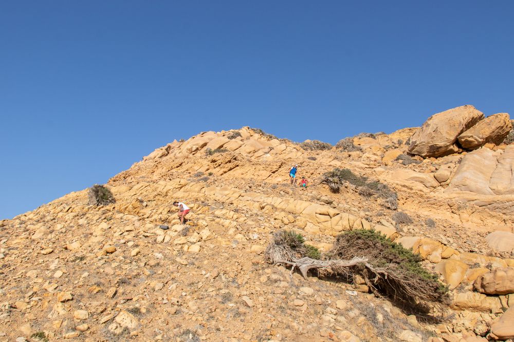 Фотография автора Ismail SAIDI