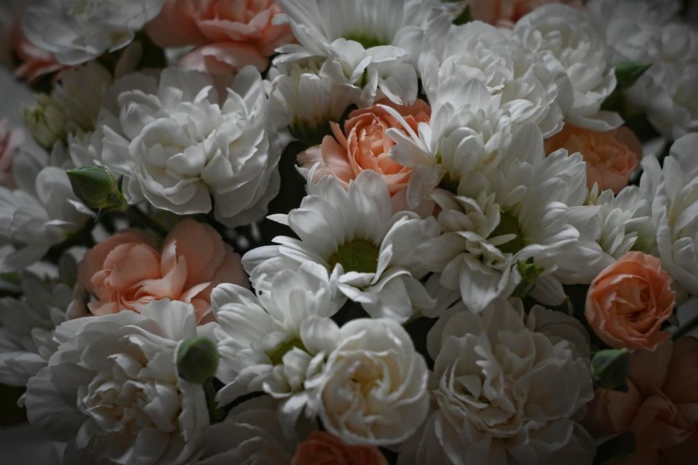 Фотография автора Olga Shchetinina