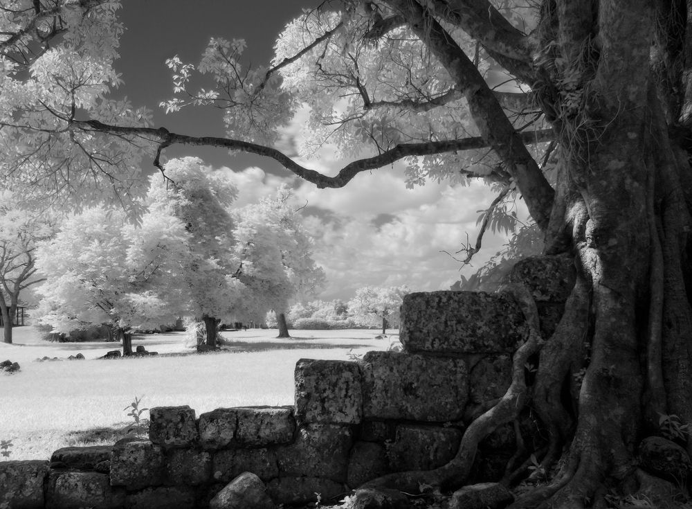 Photograph by Valdir Hobus