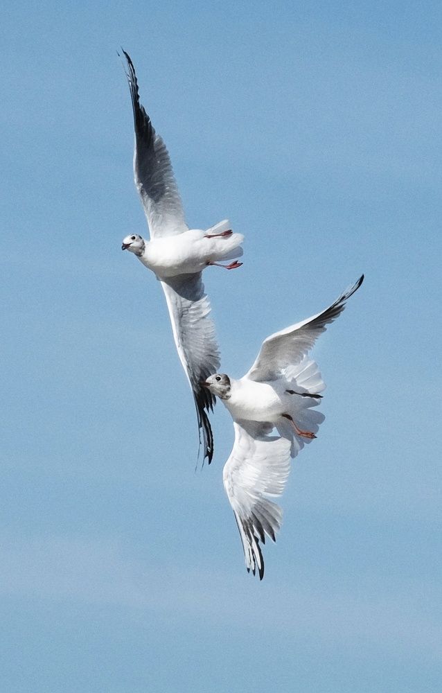 Photograph by Natalia Bolotenkova